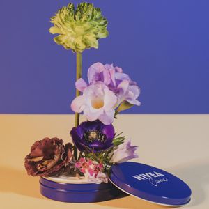 Image post by @niveausa on Instagram
