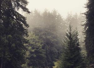 Image post by @ucsc on Instagram