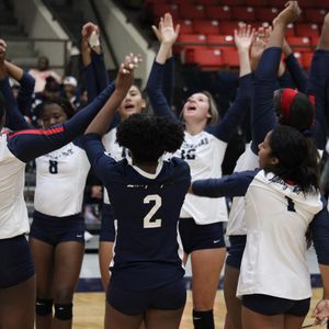 Image post by @gojsutigersvb on Instagram
