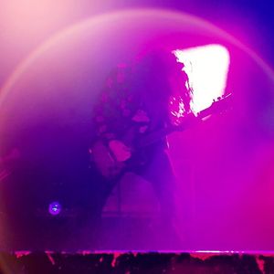 Image post by @thewarfield on Instagram