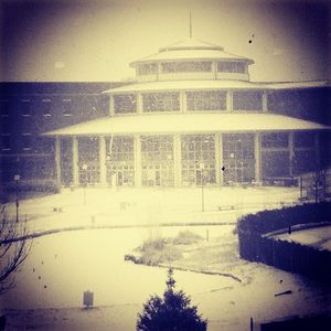 Image post by @umsl on Instagram
