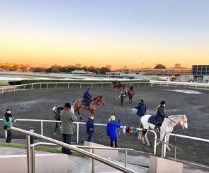 Image post by @australianturfclub on Instagram