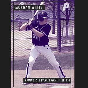 Image post by @portlandbsb on Instagram