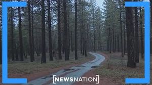 Video post by @newsnation on YouTube