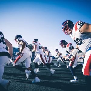 Image post by @mtlalouettes on Instagram