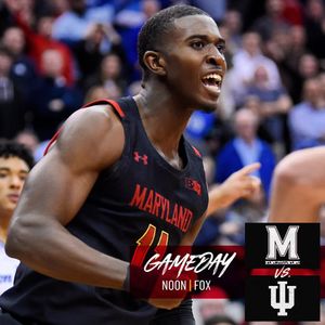 Image post by @terrapinhoops on Instagram