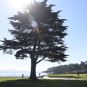 Image post by @tgrliveevents on Instagram