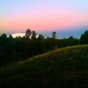 Image post by @nauflagstaff on Instagram