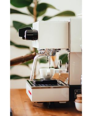 Image post by @lamarzoccohome on Instagram
