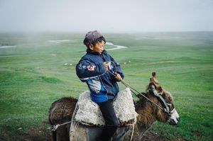 Image post by @vsco on Instagram
