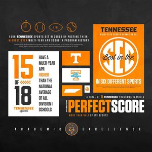 Image post by @vol_softball on Instagram