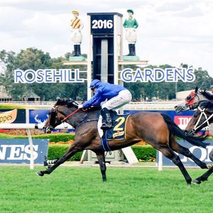 Image post by @australianturfclub on Instagram