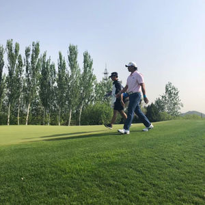 Image post by @gavinkgreen7 on Instagram