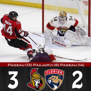 Image post by @sens_network on Instagram