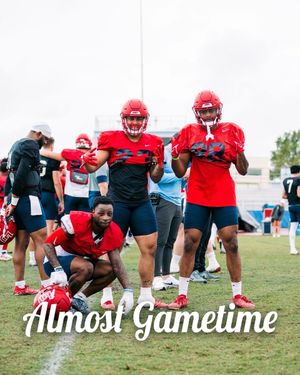 Image post by @BocaBowl on Twitter