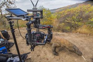 Image post by @reddigitalcinema on Instagram