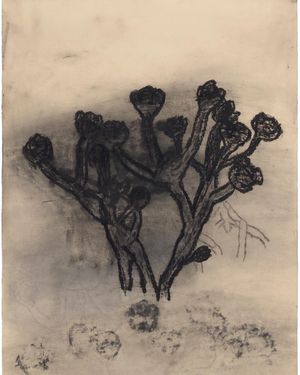 Image post by @drawingcenter on Instagram