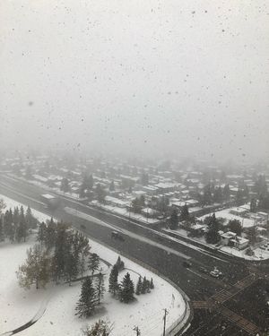 Image post by @cityofcalgary on Instagram