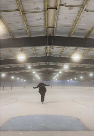 Video post by @lainedubin on TikTok