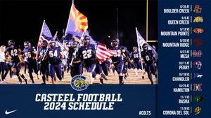 Image post by @CasteelFootball on Twitter