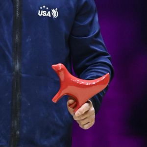Image post by @USAGym on Twitter