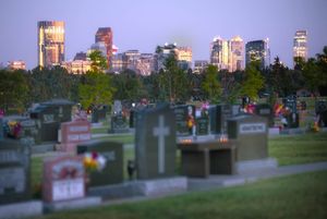 Image post by @cityofcalgary on Instagram