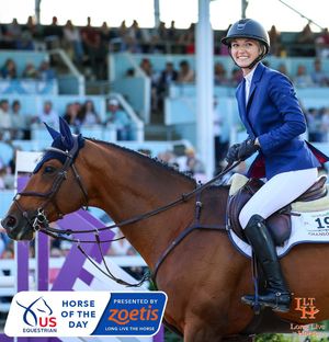 Image post by @usequestrian on Instagram