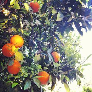 Image post by @emmalovewell on Instagram
