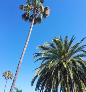 Image post by @sdsuadmissions on Instagram
