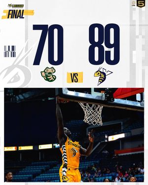 Image post by @edmontonstingers on Instagram