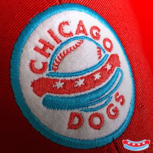 Image post by @thechicagodogs on Instagram