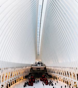 Image post by @tylerleaman on Instagram