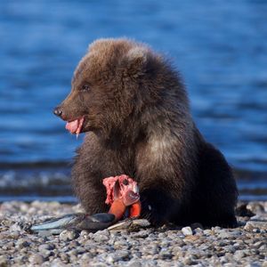 Image post by @discovery on Instagram