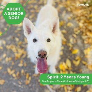 Image post by @YuMOVE.US on Facebook