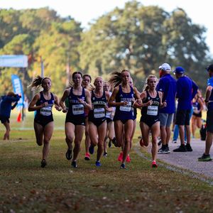 Image post by @hputrackxc on Instagram