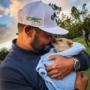 Image post by @golfdogs on Instagram