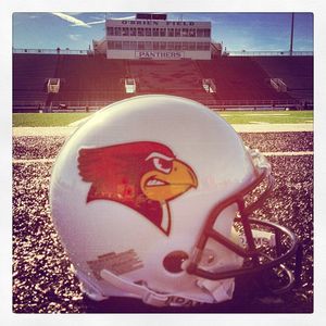 Image post by @isuredbirds on Instagram