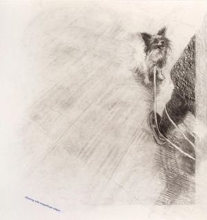 Image post by @drawingcenter on Instagram