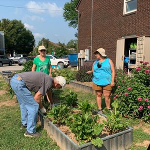 Image post by @marshallu on Instagram