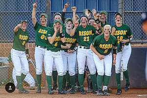 Image post by @ndsusoftball on Instagram