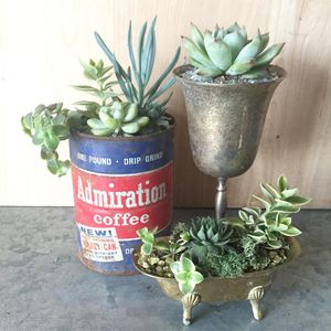 Image post by @thebloombartx on Instagram