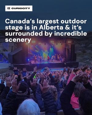 Image post by @curiocitycalgary on Instagram