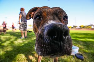 Image post by @cityofapachejunction on Instagram