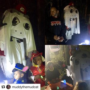Image post by @carolinamudcats on Instagram