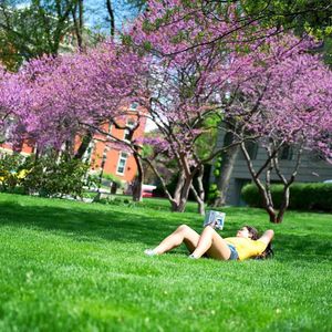 Image post by @uiowa on Instagram