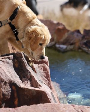 Image post by @theflaskap on Instagram