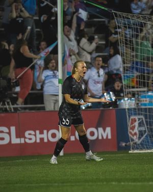 Image post by @chicagoredstars on Instagram