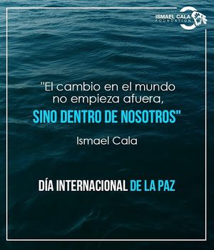 Image post by @calafoundation on Instagram