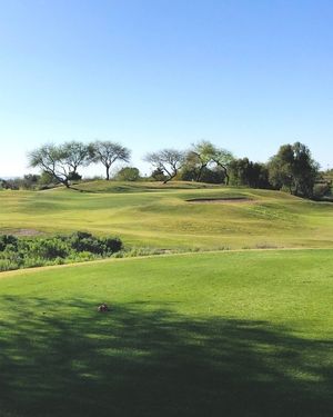 Image post by @pga on Instagram