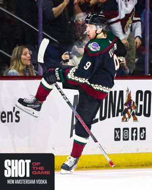 Image post by @arizonacoyotes on Instagram